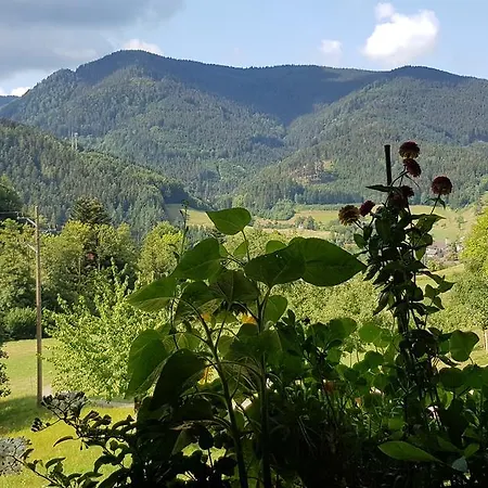 Gasthaus Ratsstueble Garni 3* Simonswald